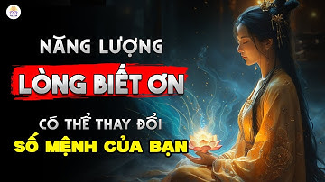 Càng Biết Ơn, Càng Giàu Có: Làm Thế Nào Để Nâng Cao Năng Lượng Của Lòng Biết Ơn? Sự Thật Ít Ai Biết