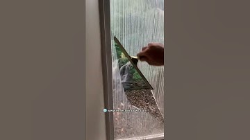 Window Cleaning in Chicago by Ernest Windows #shorts