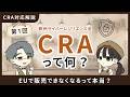 CRAって何？今押さえたいセキュリティ対応の基礎知識 【CRA対応解説 | 第1回】 #欧州サイバーレジリエンス法