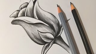 COMO DIBUJAR UNA ROSA 🌹 DIBUJOS A LÁPIZ