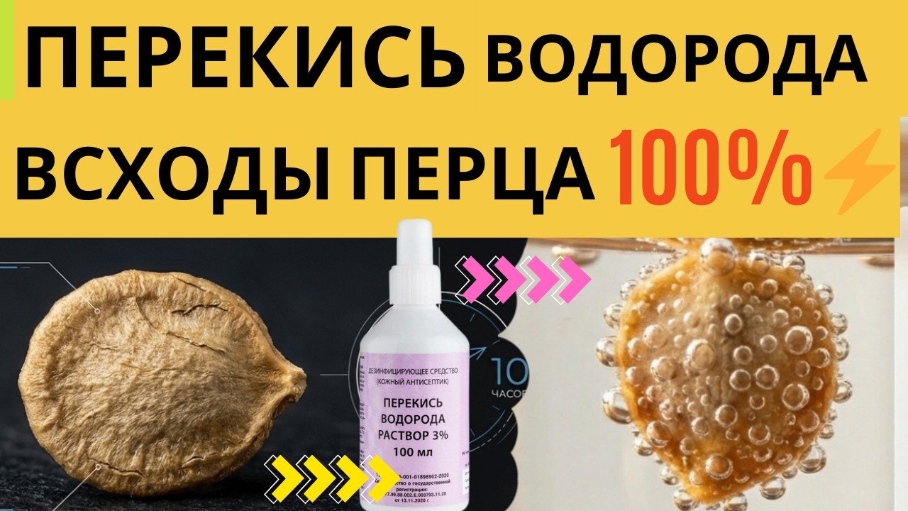 ПЕРЕКИСЬ ВОДОРОДА!! ПОСЕВ ПЕРЦА С ПЕРЕКИСЬЮ ВОДОРОДА! 100% всходы перца