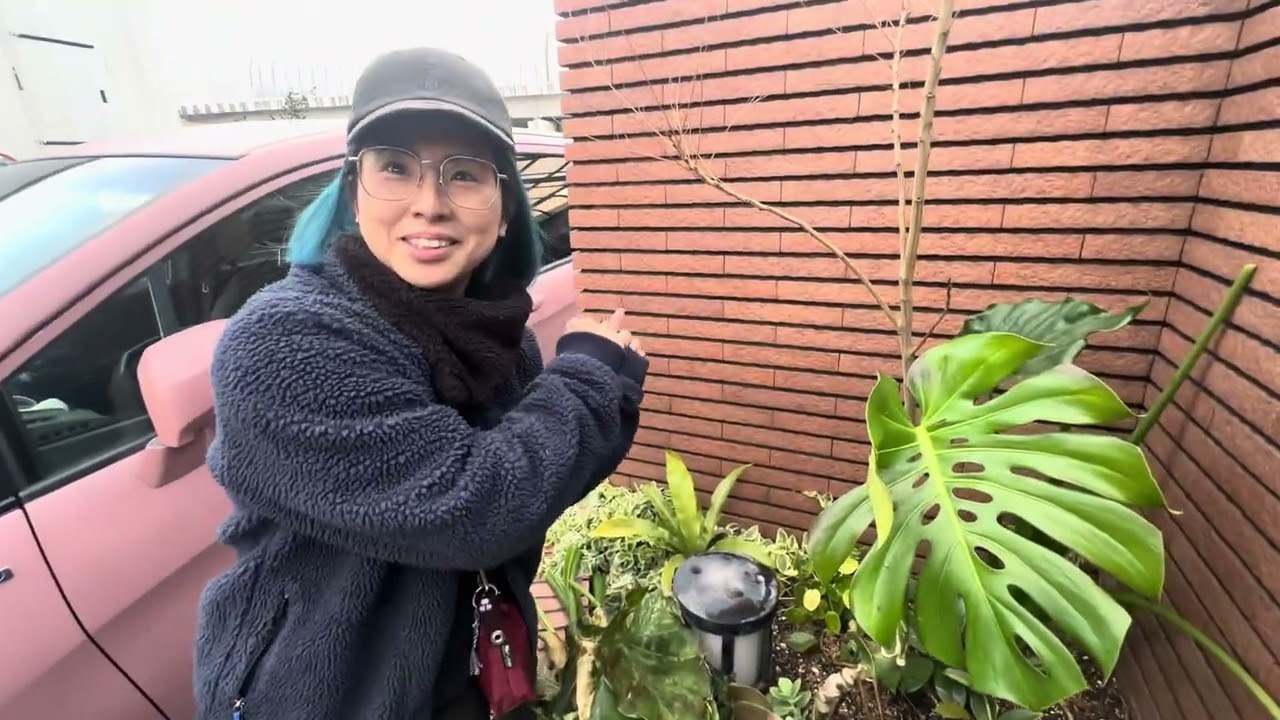 南国花壇の防寒対策！