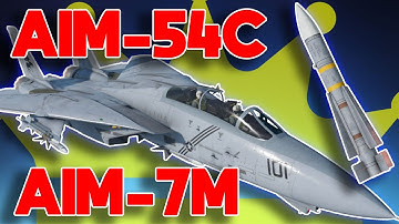 We Have a New King of Air RB | F-14B War Thunder Dev Server
