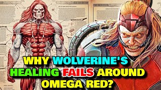 Omega Red Anatomy Explored  Why Wolverine's Healing Don't Work Around Him? What Are Death Spores?