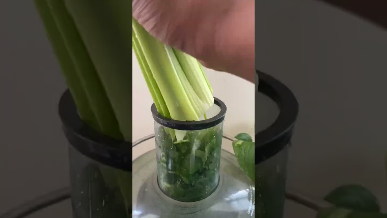 Celery juice for heavy metal detoxing bekijken op YouTube Celery juice for heavy metal detoxing bekijken op YouTube