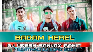 BADAM HEREL NEW SANTALI DJ SONG 2024 NEW SANTALI VIDEO DJ SONG