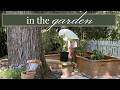 Let's Hang Out In The Garden