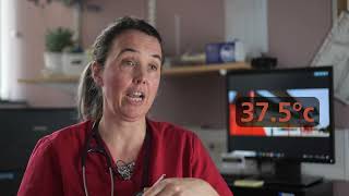 Too high or too low - what is classed a high temperature or low temperature