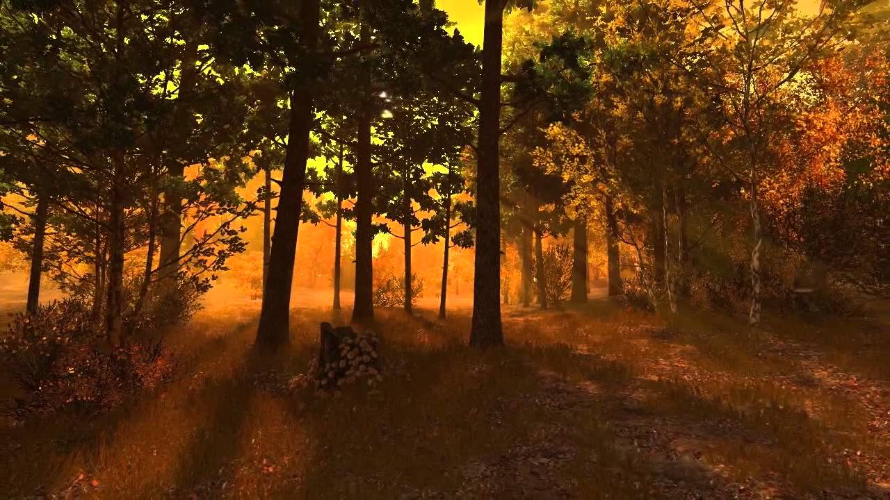 The mysterious forest screensaver keygen