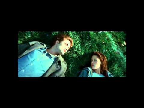 Bella und Edward - und so verliebte sich der Lwe i...