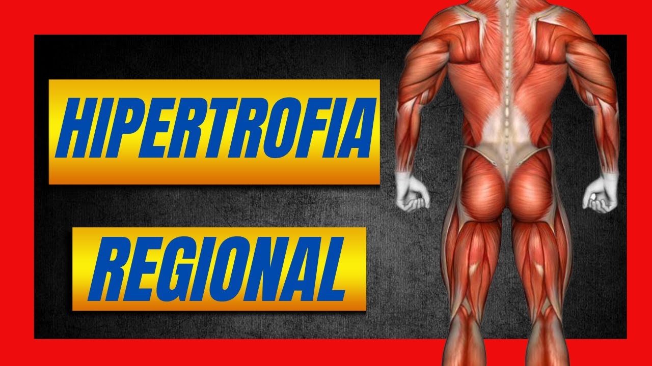 HIPERTROFIA REGIONAL según el tipo de ENTRENAMIENTO