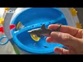 Learn The Names Of Sea Animals For Kids 