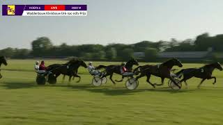 Vidéo de la course PMU WADDENBOUW KLEINBOUW URK-NAC-NDTV PRIJS