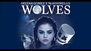 Selena gomez - wolves (cover by alex)