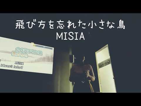 MISIA 飛び方を忘れた小さな鳥 12インチ MISIA 飛び方を忘れた小さな鳥 12インチ