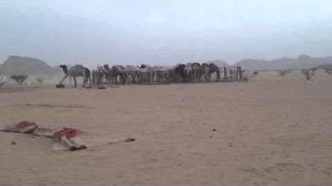 دحيم بن محمد. من اذكار المساء والصباح ١٤٣٦ه