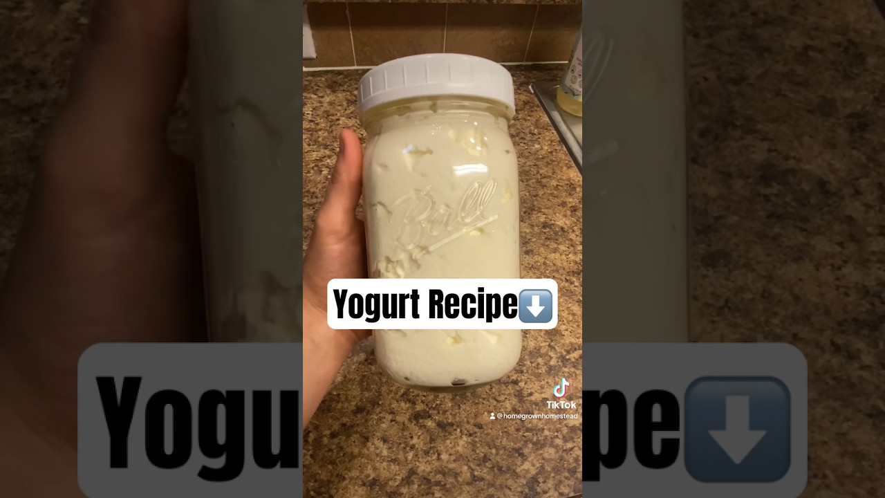 🤍✨Simple Yogurt Recipe✨🤍 
