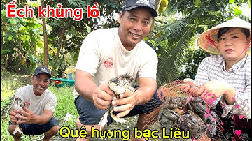 Đặt  ếch đầu mùa toàn ếch khủng /quê hương bl