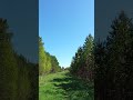 #nature #природныепейзажи #погода #прогулка #лето #природа #леснойгородок #butterfly