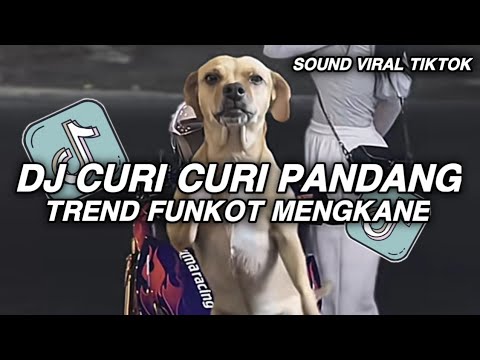 DJ SA CINTA SA SUKA CURI CURI PANDANG - DJ FUNKOT JEDAG JEDUG MENGKANE VIRAL TIKTOK TERBARU 2026
