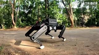 40 kg Payload Test | Strider Robotics Quadruped Robot