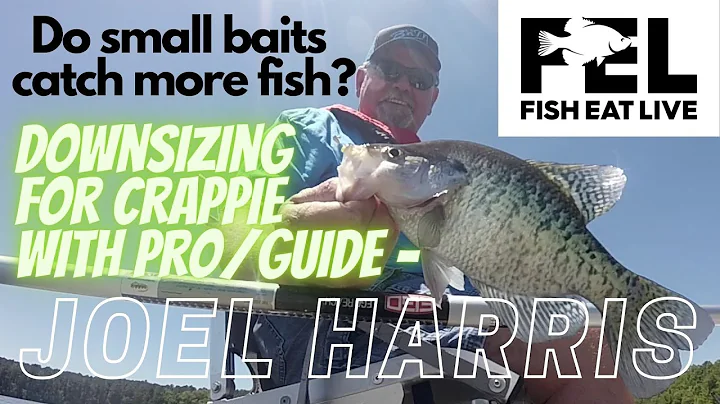 Do small baits work better for Crappie Joel Harris...