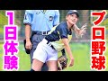 めいちゅんがプロ野球自主トレで珍事件を起こしました。【栃木ゴールデンブレーブス】