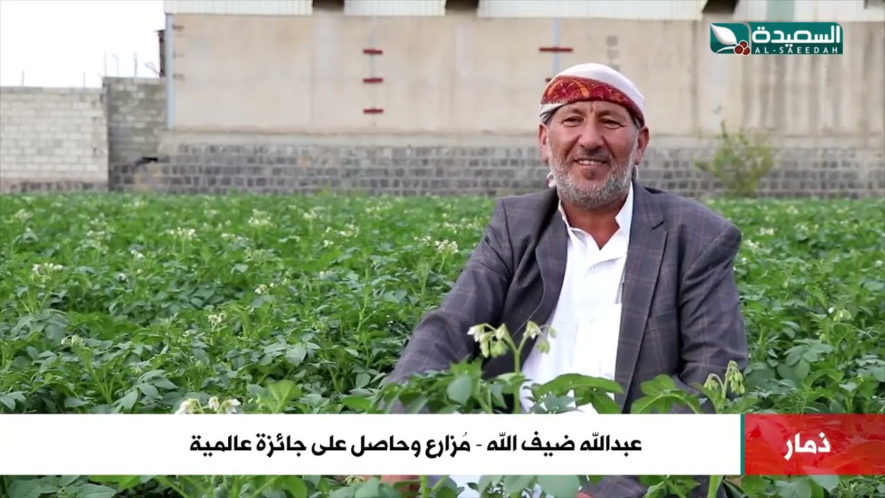 جائزة عالمية لمزارع في ذمار لجهوده في زراعة البطاطا