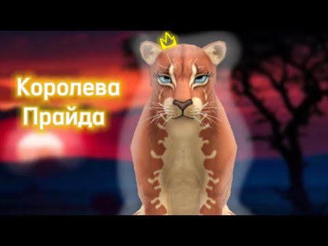 WildCraft Мини фильм