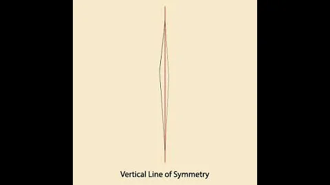 Vertical Line Symmetry: Kite