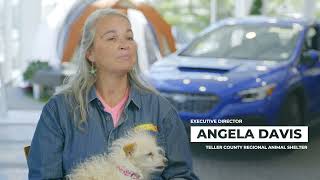 Share the Love at Heuberger Subaru