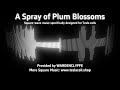 A Spray of Plum Blossoms