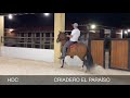 Hablando De Caballos desde el Criadero El Paraiso