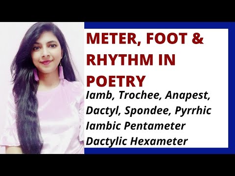 Meter, Foot & Rhythm in Poetry | Types of Metrical Foot | Types of Meter | Prosody