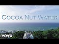 Kochief  cocoa nut water ft dshow