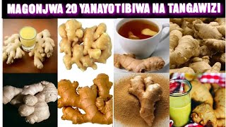 MAGONJWA MAKUBWA ISHIRINI(20) YANAYOTIBIWA NA TANGAWIZI HAYA APA/TANGAWIZI TIBA KIBOKO YA MAGONJWA