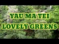 Enjoying the lovely greens in yau  ma  tei