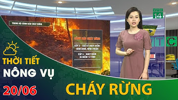 Thời tiết nông vụ 20/06/2021: Đề phòng cảnh báo cháy rừng | VTC14