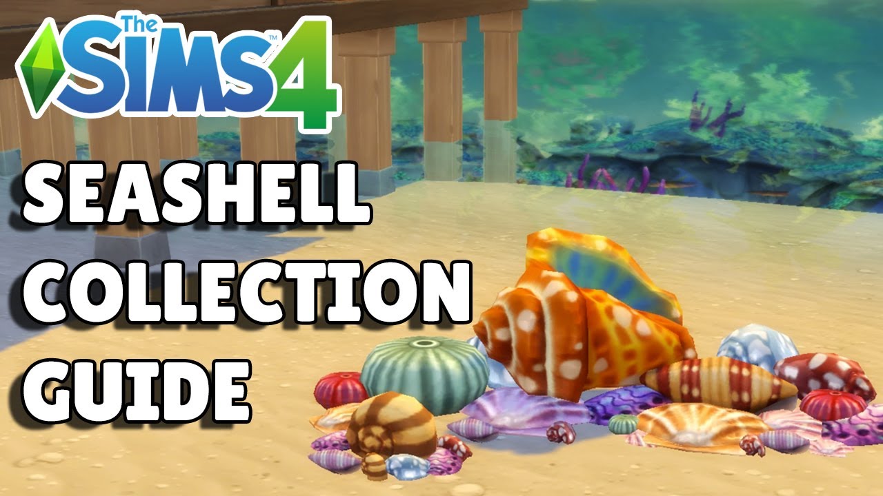 How To Collect Seashells In The Sims 4 Collection Guide YouTube
