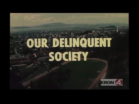 Our Delinquent Society