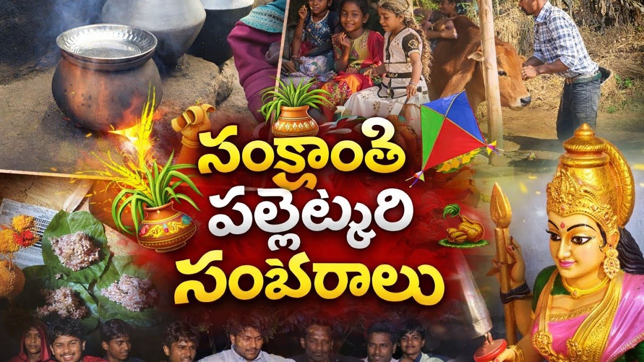 Sankranti festival in village//మా పల్లెటూరిలో భోగి సంక్రాంతి కనుమ పండుగ సంబరాలు/ram tribal vlogs