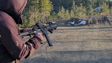 cmmg guard 45 acp with Franklin Armory binary trigger