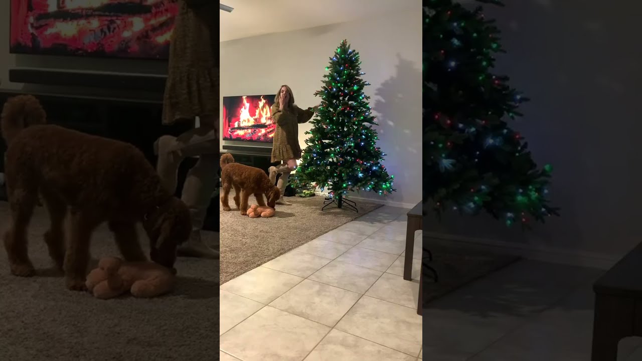 NAVIDAD........💃🏼