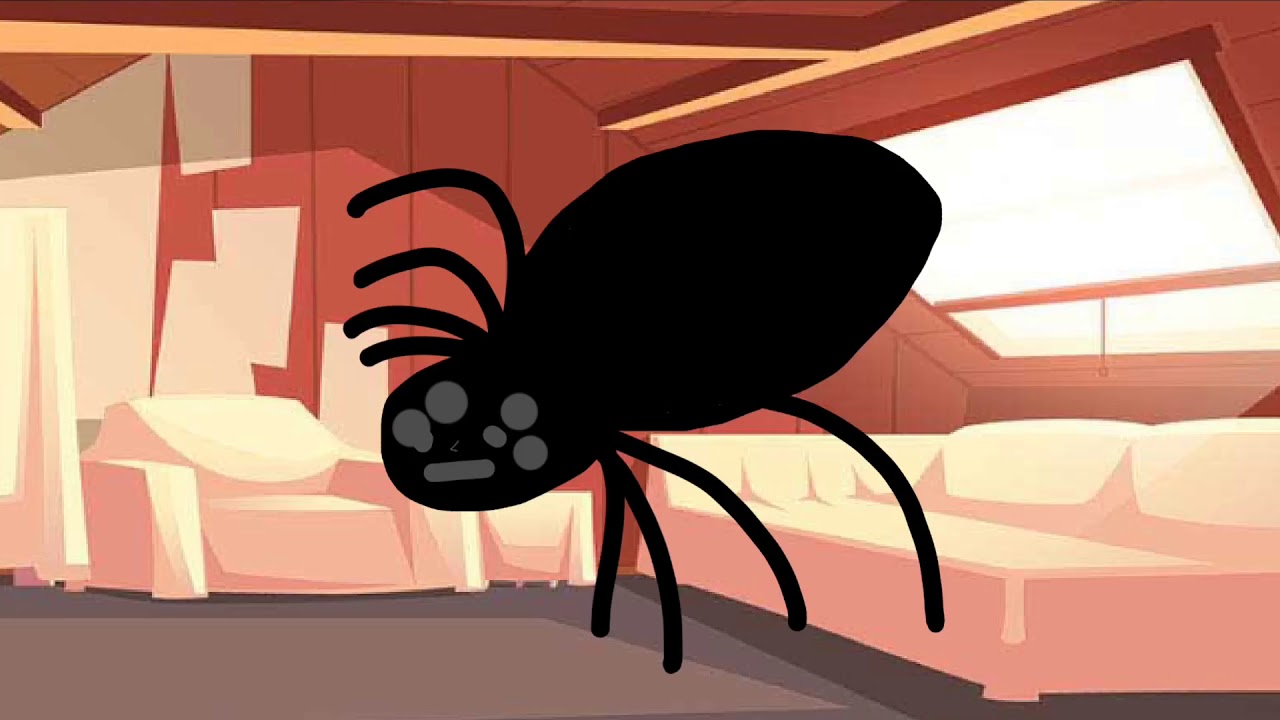 If I saw a spider in my room 🕷 YouTube