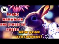 RABBIT FARMING | Paano maiiwasan na stress ang rabbit sa Bagong taon | How to comfort rabbit in Fire