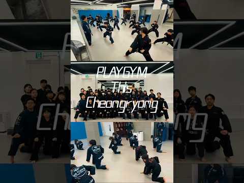 플레이짐특공무술&amp;하대원청룡특공무술 시범단 합동훈련!!!
