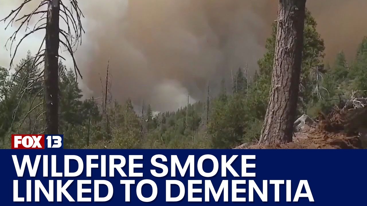 UW study links wildfire smoke with increase dementia risk | FOX 13 ...