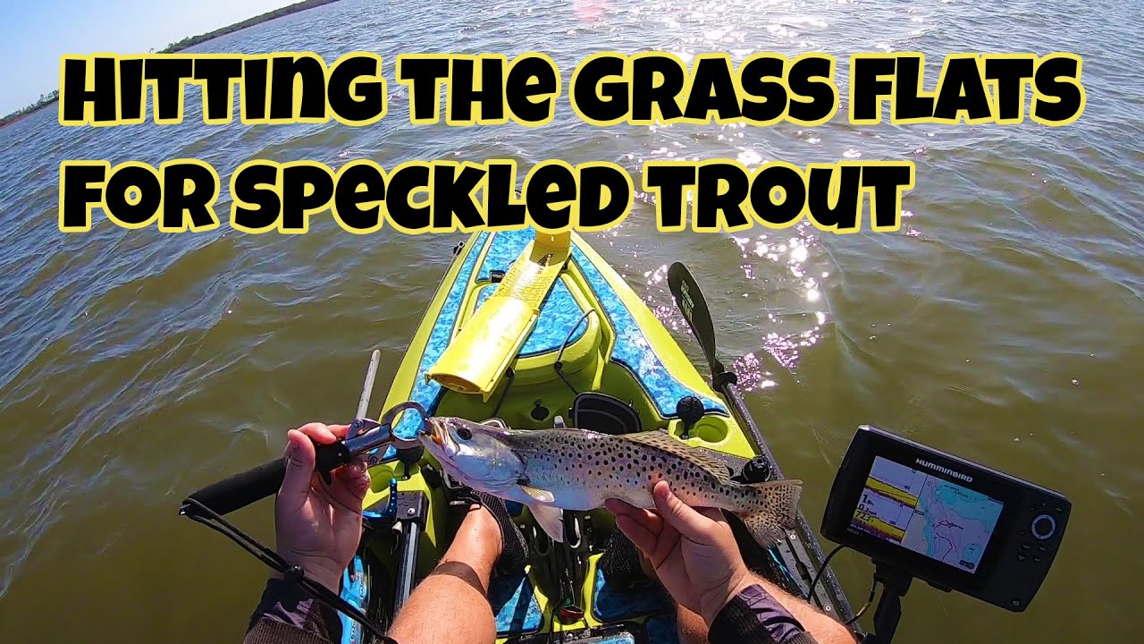 Kayak Fishing Grass Flats for Speckled Trout in the 2019 Outback YouTube