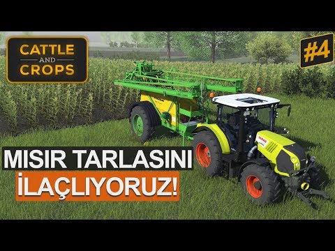 Cattle and Crops - Mısır Tarlasını İlaçlıyoruz! (Erken Erişim #4)