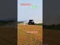 사일리지# New Holland# T7# 뉴홀랜드# 조사료# 축산업# 충남# 당진